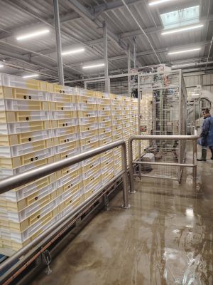 Dépileur de bac 1300 bac/heure